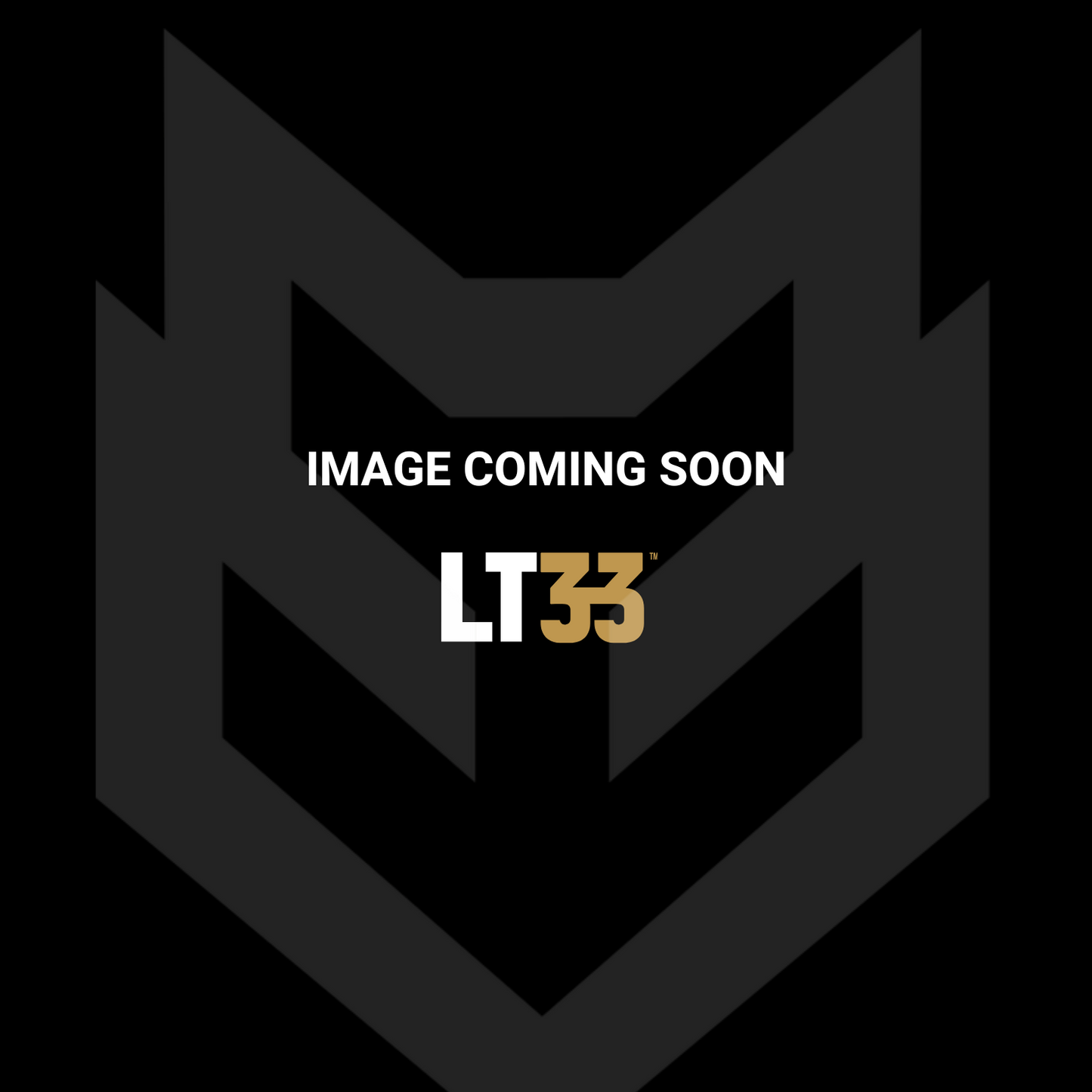 T304 Stainless Steel 3  Cat Back Single Side